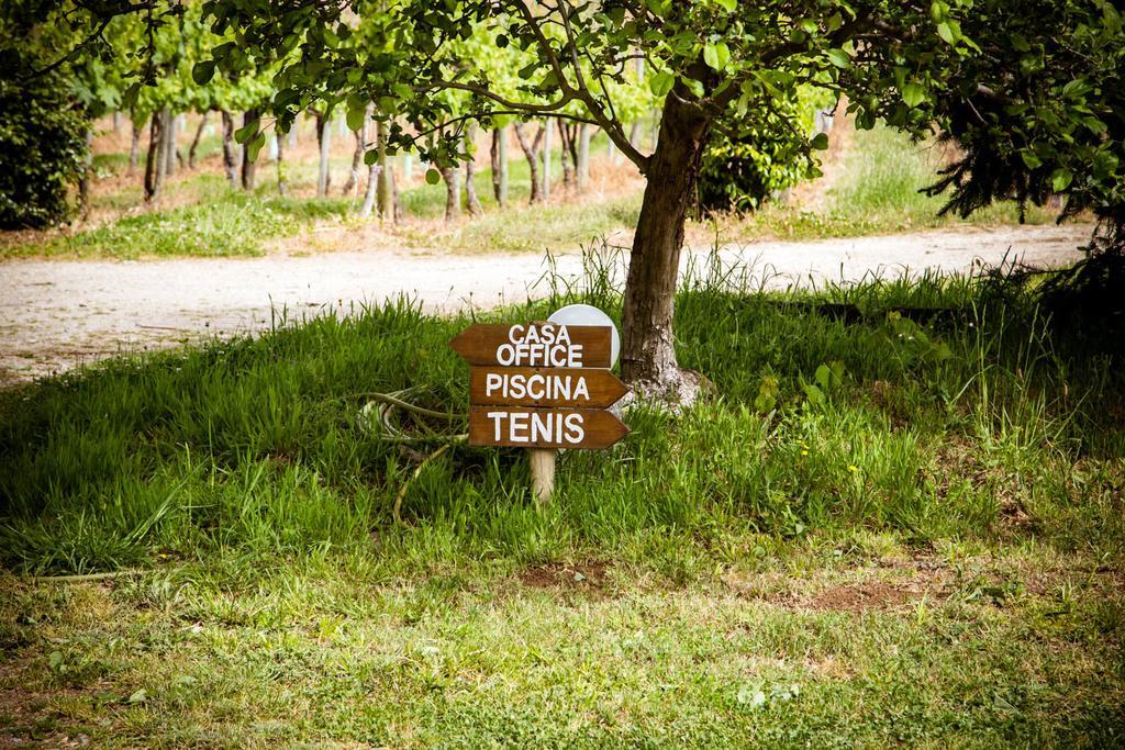 منزل الضيف لوسادا  في Quinta De Lourosa المظهر الخارجي الصورة