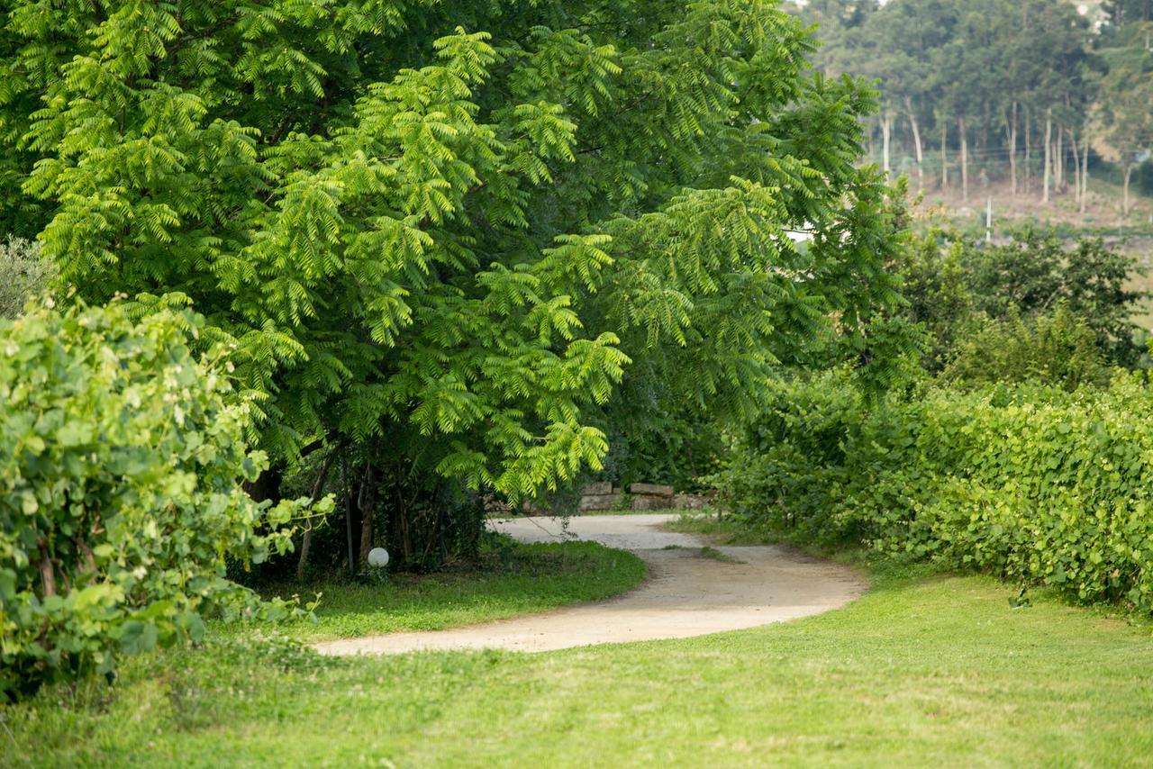 منزل الضيف لوسادا  في Quinta De Lourosa المظهر الخارجي الصورة